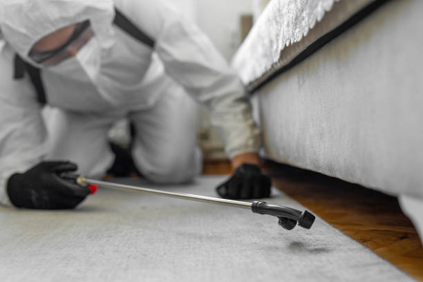 Professional Bed Bug Control technician working in Coosa County County, AL